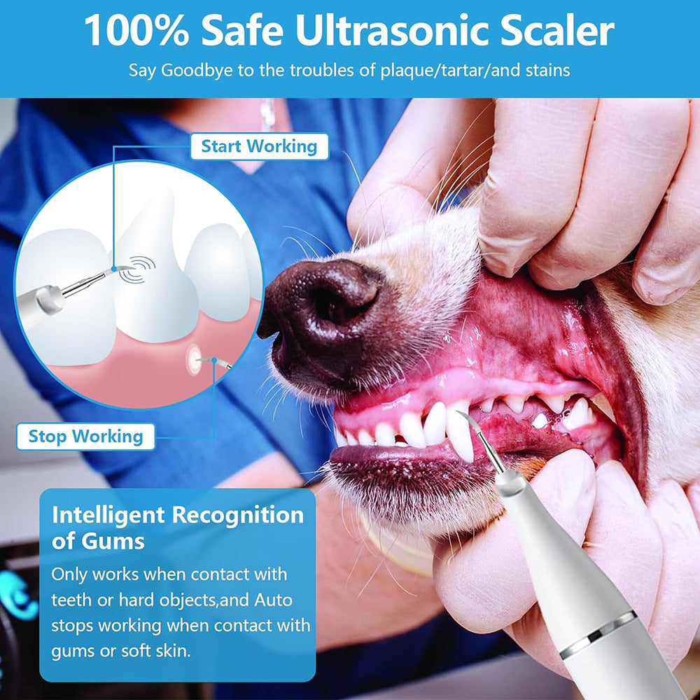 Pet Real Ultrasonic Dental Cleaner Household Usb Charging With LED Light Dog Clean Oral Cavity